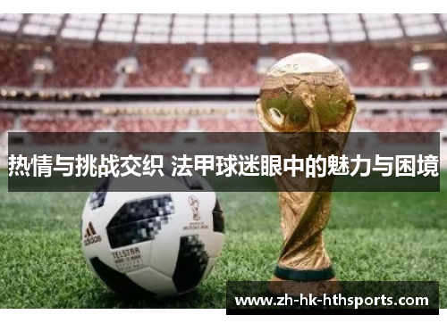 热情与挑战交织 法甲球迷眼中的魅力与困境 热情与挑战交织 法甲球迷眼中的魅力与困境